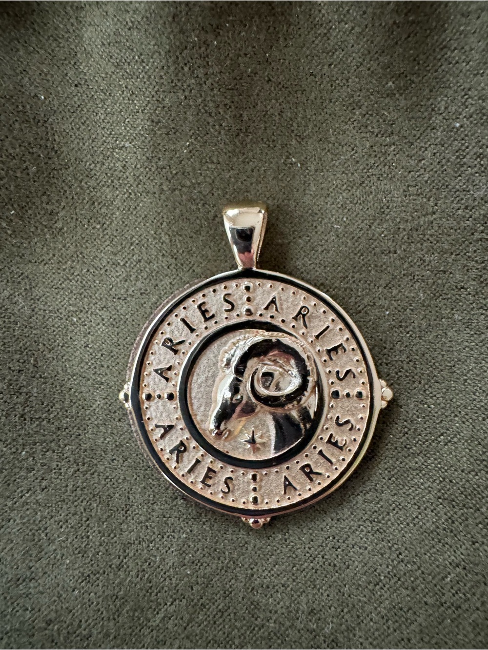 Jane Win
Aries Coin Zodiac Pendant